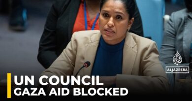 UN Security Council presses Israel on Gaza aid, US stands apart