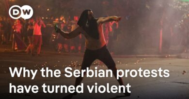 Unrest in Serbia continues with third straight night of anti-government protests | DW News