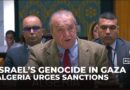 UNSC must sanction ‘enemy of humanity’ for Gaza genocide, urges Algeria’s UN envoy