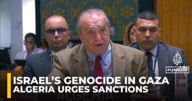 UNSC must sanction ‘enemy of humanity’ for Gaza genocide, urges Algeria’s UN envoy