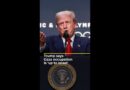 US President Donald Trump says Gaza occupation is ‘up to Israel’ | AJ #shorts