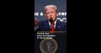 US President Donald Trump says Gaza occupation is ‘up to Israel’ | AJ #shorts