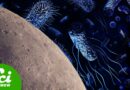 Using Microbes to Mine the Moon
