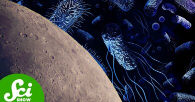 Using Microbes to Mine the Moon