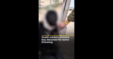 Video shows Israeli soldiers tormenting boy detained over stone throwing | AJ #shorts
