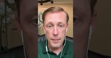 Voting against arms for Israel a “totally credible position”