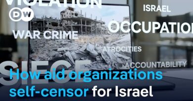 We “water down the reality”, former aid worker on situation in Gaza | DW News
