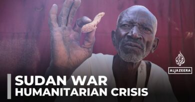 ‘We’re suffering’: People in Sudan’s el-Fasher eat animal fodder to survive