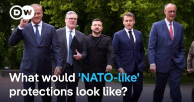 What European leaders bring to the table in Trump’s meeting with Zelenskyy | DW News