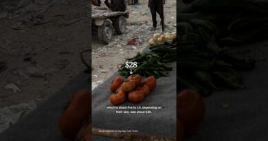 What It Takes to Find Food in Gaza