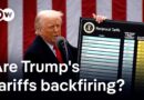 What the world got wrong about tariffs | DW Business