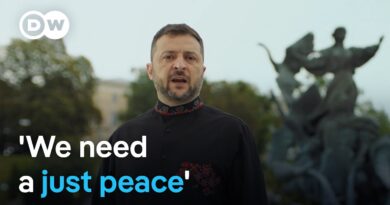 What Ukraine would be willing to give up for peace with Russia | DW News