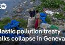 What’s holding up the UN plastic pollution treaty? | DW News