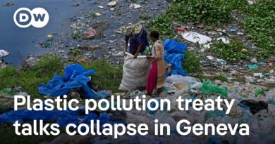 What’s holding up the UN plastic pollution treaty? | DW News