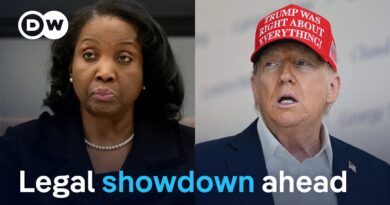 What’s really behind Trump’s ouster of Fed Governor Lisa Cook? | DW News