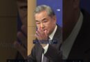 What’s the ‘The Great Recall’ going down in Taiwan? | DW News