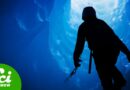 What’s Under Antarctica’s Ice?