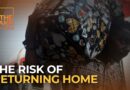 Why are Sudanese refugees returning home despite the civil war? | The Take
