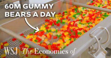 Why Haribo Refuses to Expand Beyond Gummies | WSJ The Economics Of