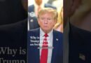 Why is Donald Trump picking on Switzerland?
