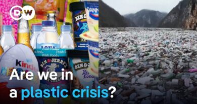 Why our planet is drowning in plastic waste | DW News