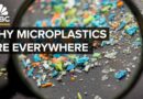 Why The Microplastics Crisis Will Only Get Worse