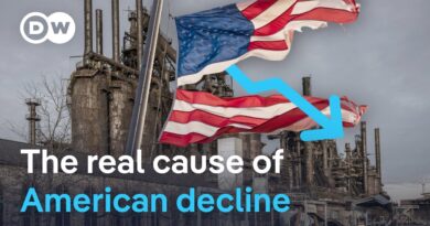 Why trade chaos is not all Trump’s fault | DW News
