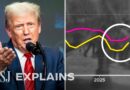 Why Trump’s Economy Hasn’t Cracked Under Tariffs (Yet) | WSJ