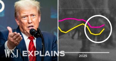 Why Trump’s Economy Hasn’t Cracked Under Tariffs (Yet) | WSJ