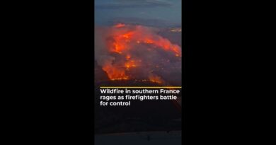 Wildfire in southern France rages as firefighters fight for control | AJ #shorts