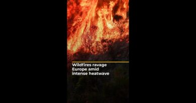 Wildfires ravage Europe amid intense heatwave | AJ #shorts