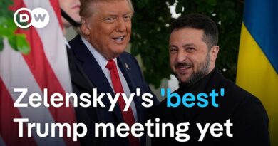 Will a trilateral meeting between Putin, Zelenskyy and Trump happen next? | DW News