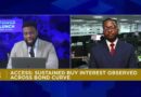 Access: Bond market to sustain bull run as investors eye liquidity conditions