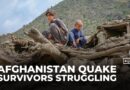 Afghan survivors struggle in the wake of deadly earthquake