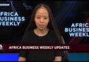 Africa Business Weekly: Digital payments system to boost Zanzibar’s economy & protect natural assets