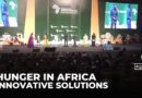 Africa food systems forum: Agricultural entrepreneurs tackle food insecurity