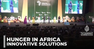 Africa food systems forum: Agricultural entrepreneurs tackle food insecurity