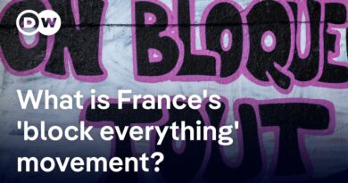 After parliament votes to oust prime minister: Has France become ungovernable? | DW News