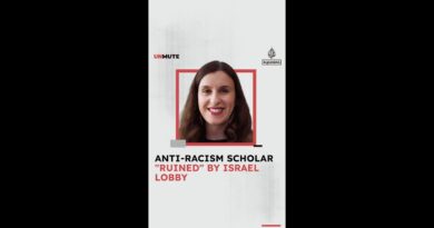 Anti-racism scholar’s career “ruined” by pro-Israel lobby