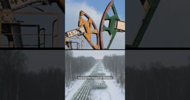 Are Ukraine’s kamikaze drones causing a Russian petrol crisis?