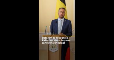 Belgium to recognise Palestinian state, impose sanctions on Israel | AJ #shorts