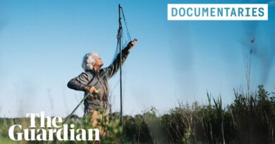 Between Moon Tides: hacking nature to save the saltmarsh sparrow