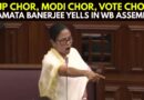 “BJP Chor, Modi Chor, Vote Chor”: CM Mamata Banerjee Yells In West Bengal Assembly | Elections