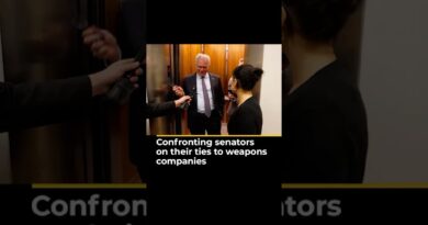 Confronting senators on their ties to weapons companies | Business of War #shorts