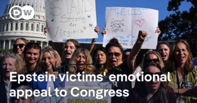 Epstein abuse survivors urge Congress to force release of all related files | DW News