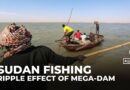 Ethiopia’s Grand Renaissance Dam project impacts fishing in Sudan