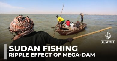 Ethiopia’s Grand Renaissance Dam project impacts fishing in Sudan