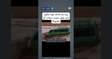 Fact check: False flood videos spread in India and Pakistan | DW News