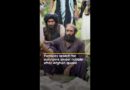 Families search for survivors under rubble after Afghan earthquake | AJ #shorts