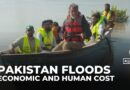 Floods submerge towns in Pakistan’s Punjab, thousands of farms and crops lost